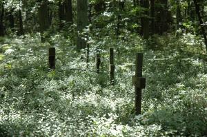 Pawlikowice cmentarz wojenny