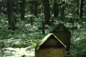 Pawlikowice cmentarz wojenny