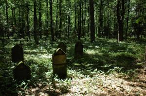 Pawlikowice cmentarz wojenny