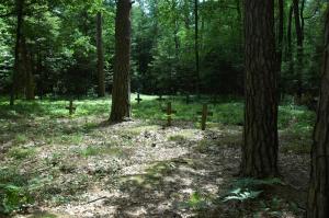 Pawlikowice cmentarz wojenny