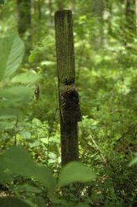 Pawlikowice cmentarz wojenny