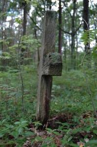 Pawlikowice cmentarz wojenny