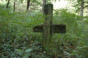 Pawlikowice cmentarz wojenny