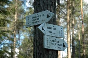 Cmentarz nr 63 Pętna