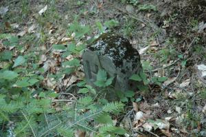 Cmentarz nr 63 Pętna