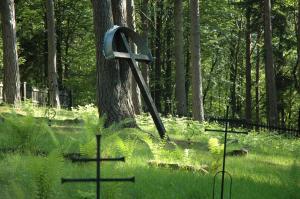 Cmentarz nr 63 Pętna