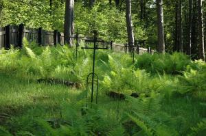 Cmentarz nr 63 Pętna