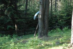 Cmentarz nr 63 Pętna