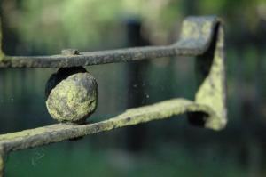 Cmentarz nr 63 Pętna