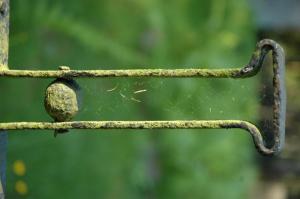 Cmentarz nr 63 Pętna