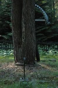 Cmentarz nr 63 Pętna