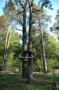 Cmentarz nr 63 Pętna