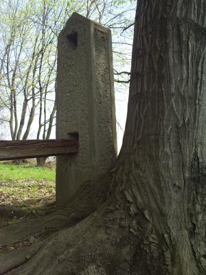 Cmentarz nr 111 Racławice rok 2011 