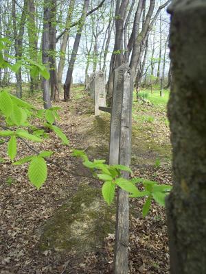 Cmentarz nr 111 Racławice rok 2011 