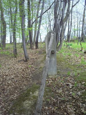 Cmentarz nr 111 Racławice rok 2011 