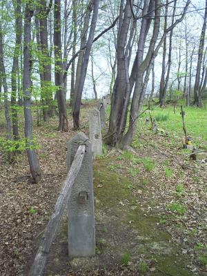 Cmentarz nr 111 Racławice rok 2011 