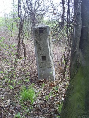 Cmentarz nr 111 Racławice rok 2011 