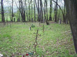 Cmentarz nr 111 Racławice rok 2011 