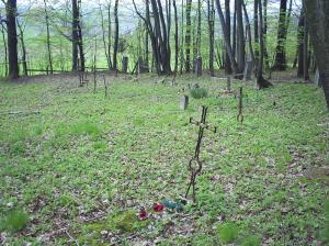 Cmentarz nr 111 Racławice rok 2011   