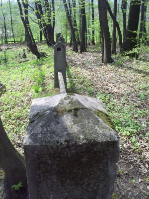 Cmentarz nr 111 Racławice rok 2011 