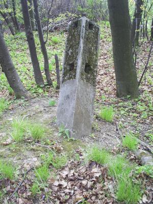 Cmentarz nr 111 Racławice rok 2011 