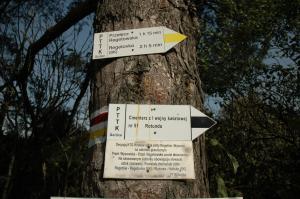 Cmentarz nr 51 Rotunda