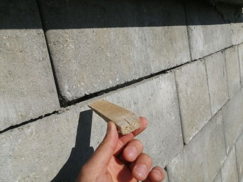 IMG 20260816 083131