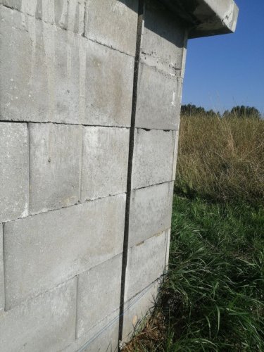 IMG 20260816 083223