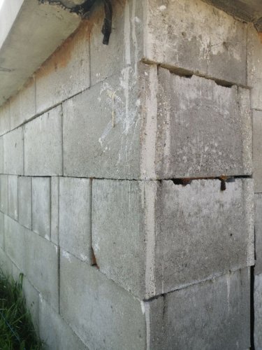 IMG 20260816 083321