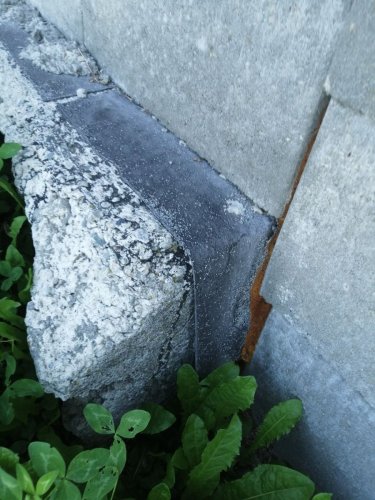 IMG 20260816 084210