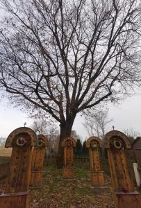 Cmentarz wojenny nr 153 Siedliska