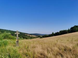 Wyszowatka - krzyż
