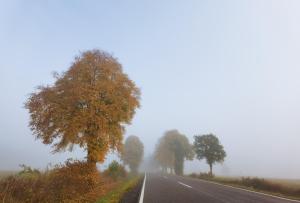 Gładyszów w stronę Małastowa