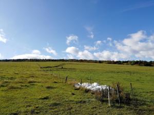 001- w drodze na cmentarze