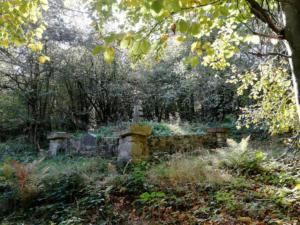 003-Ożenna cm2 październik 2019