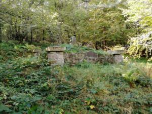 005-Ożenna cm2 październik 2019