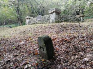 007-Ożenna cm2 październik 2019