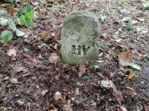 010-Ożenna cm2 październik 2019