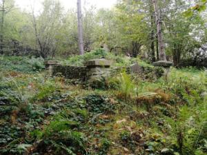 011-Ożenna cm1 październik 2019