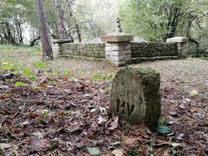 017-Ożenna cm1 październik 2019