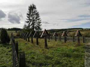 020-Grab cm5 październik 2019