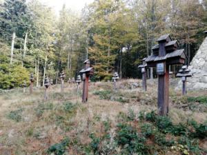 025-Przysłup cm 58 październik 2019