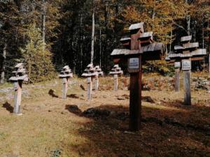 030-Przysłup cm 58 październik 2019