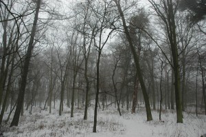 Stara Gadka