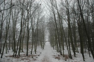 Stara Gadka