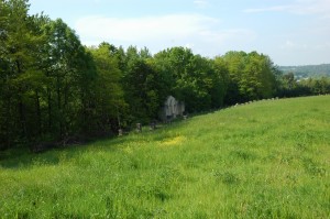 Cmentarz nr 116 Staszkówka -Dawidówka