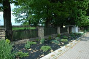 Cmentarz nr 117 Staszkówka