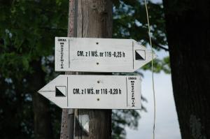 Cmentarz nr 117 Staszkówka