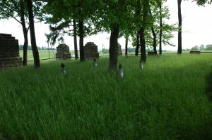 Cmentarz wojenny nr 118 Staszkówka 