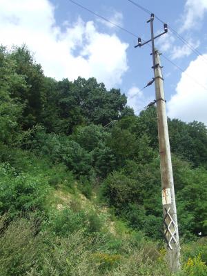 Kriegerfriedhof Nr 104 Strzeszyn-Wilczak- cmentarz z I Wojny Światowej 004     